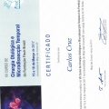 Ampliar imagem: certificate 9
