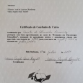 Ampliar imagem: certificate 13