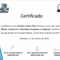 Ampliar imagem: certificate 5