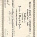 Ampliar imagem: certificate 2
