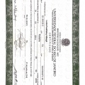 Ampliar imagem: certificate 4