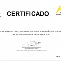 Ampliar imagem: certificate 41