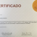 Ampliar imagem: certificate 9