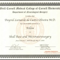 Ampliar imagem: certificate 2