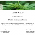 Ampliar imagem: certificate 8