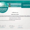 Ampliar imagem: certificate 20