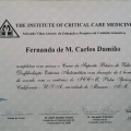 Ampliar imagem: certificate 16