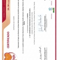 Ampliar imagem: certificate 28