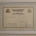 Ampliar imagem: certificate 4