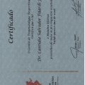 Ampliar imagem: certificate 1