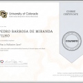Ampliar imagem: certificate 3