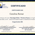 Ampliar imagem: certificate 9