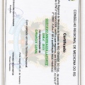 Ampliar imagem: certificate 3