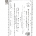 Ampliar imagem: certificate 4