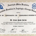 Ampliar imagem: certificate 4