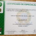 Ampliar imagem: certificate 6