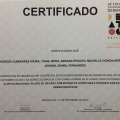 Ampliar imagem: certificate 2