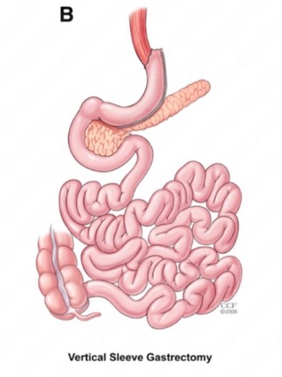 Rodrigo Fabiano Guedes Leite-9