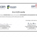 Ampliar imagem: certificate 8