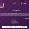 Ampliar imagem: certificate 10
