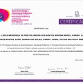 Ampliar imagem: certificate 7