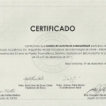 Ampliar imagem: certificate 16