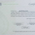 Ampliar imagem: certificate 3