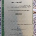 Ampliar imagem: certificate 1