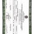 Ampliar imagem: certificate 2