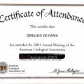 Ampliar imagem: certificate 50