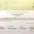 Ampliar imagem: certificate 5