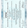 Ampliar imagem: certificate 3