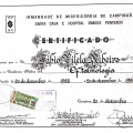 Ampliar imagem: certificate 2