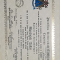 Ampliar imagem: certificate 5
