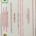 Ampliar imagem: certificate 4