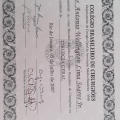 Ampliar imagem: certificate 11