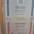 Ampliar imagem: certificate 5