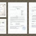 Ampliar imagem: certificate 1