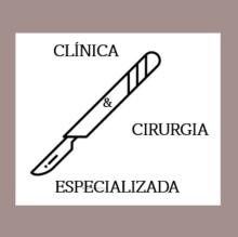 Clínica e Cirurgia Especializada