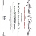 Ampliar imagem: certificate 5