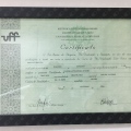 Ampliar imagem: certificate 3