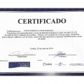 Ampliar imagem: certificate 4