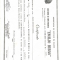 Ampliar imagem: certificate 3