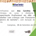 Ampliar imagem: certificate 9