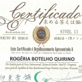 Ampliar imagem: certificate 4