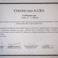 Ampliar imagem: certificate 8
