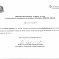Ampliar imagem: certificate 19