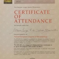 Ampliar imagem: certificate 3