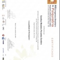 Ampliar imagem: certificate 4