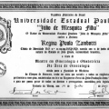 Ampliar imagem: certificate 3